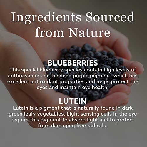 New Nordic Blue Berry Strong | Lutein Blueberry Bilberry Supplement (120 Count (Pack of 1))