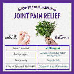 New Chapter Joint Supplement + Herbal Pain Relief - Zyflamend Whole Body for Healthy Inflammation Response - 120 ct