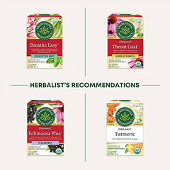 Traditional Medicinals Organic Echinacea Plus Elderberry Herbal Tea, 16 Bags (Pack of 1)