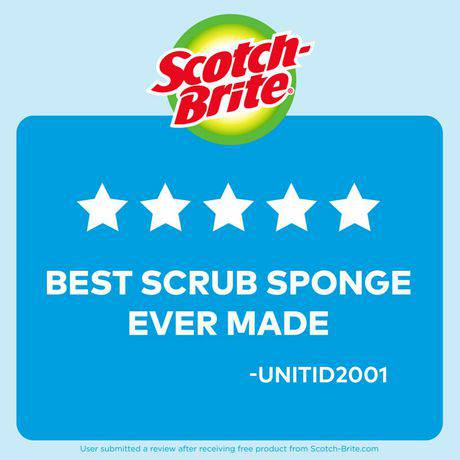 Scotch-Brite® No-Scratch Scrub Sponge - Zecoya