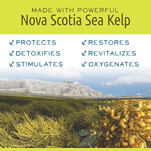 Nova Scotia Fisherman Sea Salt N Caramel Lip Balm with Kelp