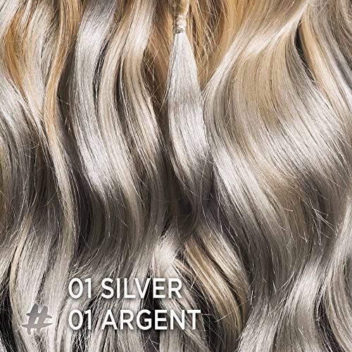 L'Oreal Paris Colorista Sprays Temporary Hair Color, 01 Silver, One-day Color, Hair Dye, 57g