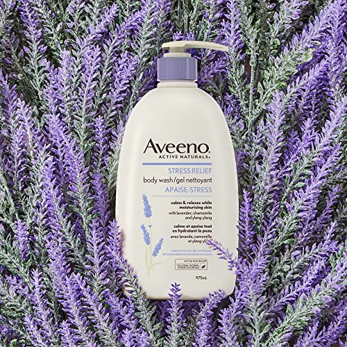 Aveeno Stress Relief Body Wash - Dry Skin, Colloidal Oatmeal, Ylang Ylang, Chamomile, Lavender Essential Oils, 532mL