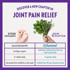 New Chapter Joint Supplement + Herbal Pain Relief - Zyflamend Whole Body for Healthy Inflammation Response - 60 ct