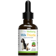 Milk Thistle - for Healthy Liver Function in Dogs - Pet WellBeing