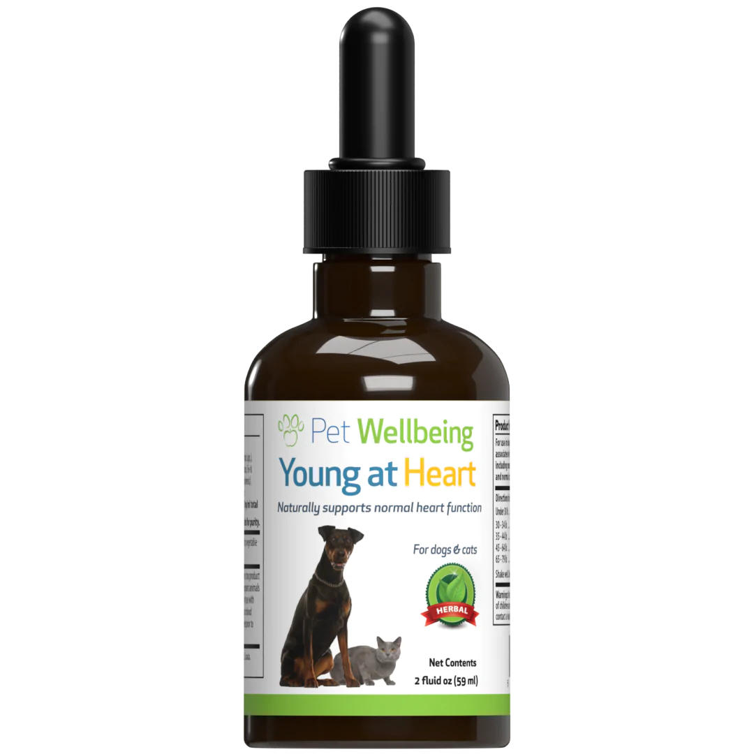 Young at Heart - for Healthy Heart Maintenance in Dogs - Pet WellBeing