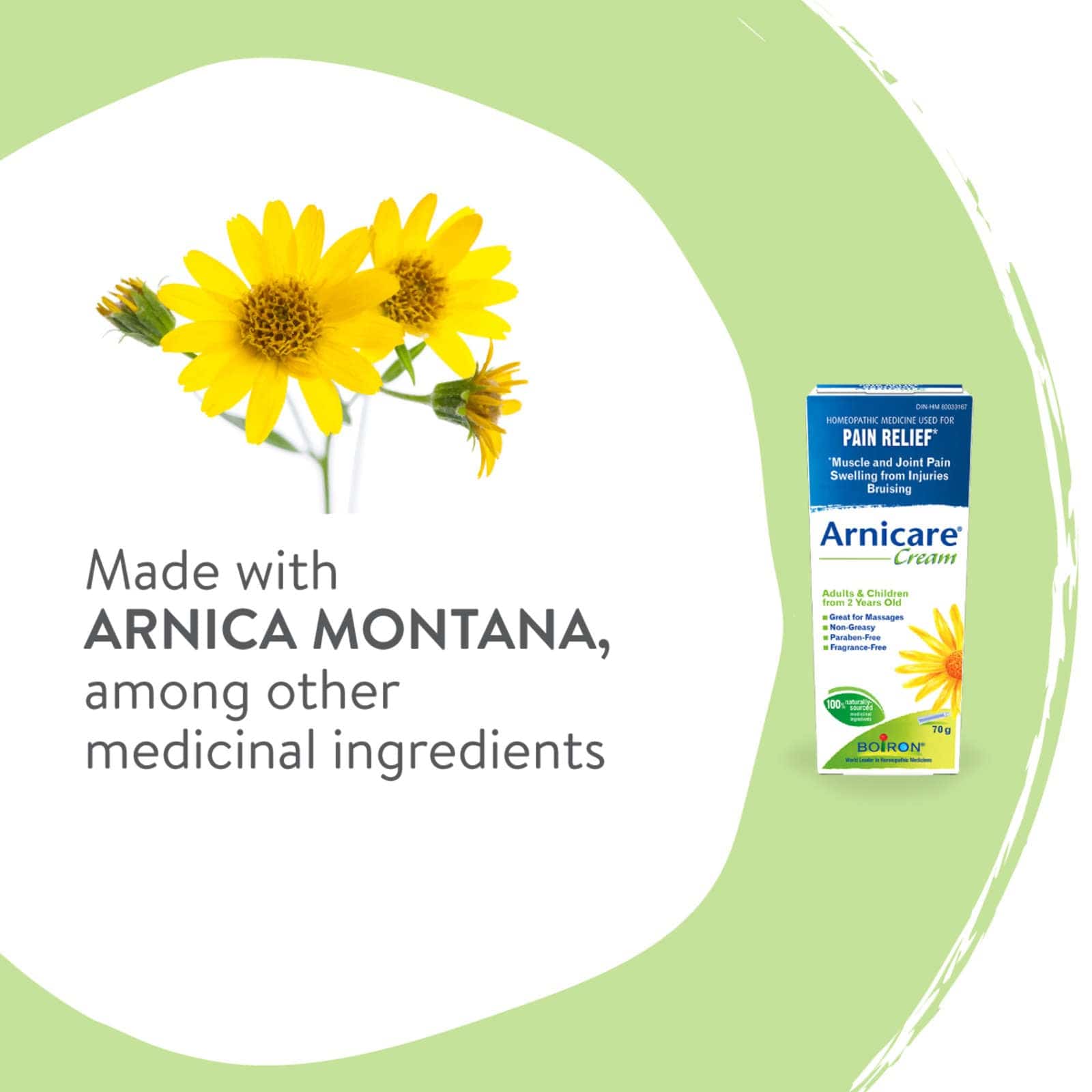 Arnicare Cream Relieves Muscle and Joint Pain, and Treats Bruises and Bumps - Zecoya